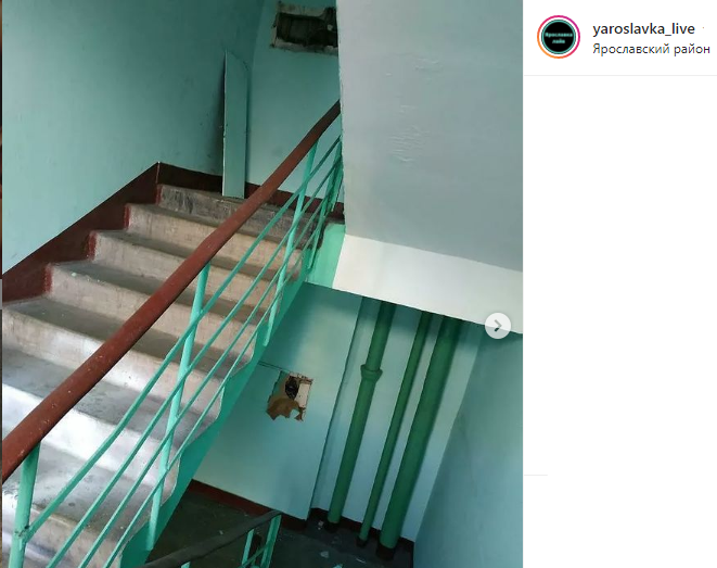 В доме на Ярославке наркоманы разгромили подъезд