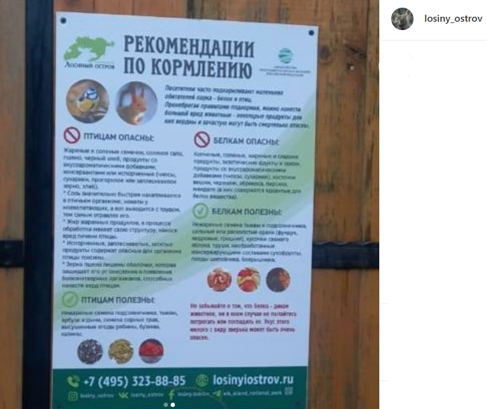 Установленные в «Лосином острове» стенды помогут птицам в зимний период